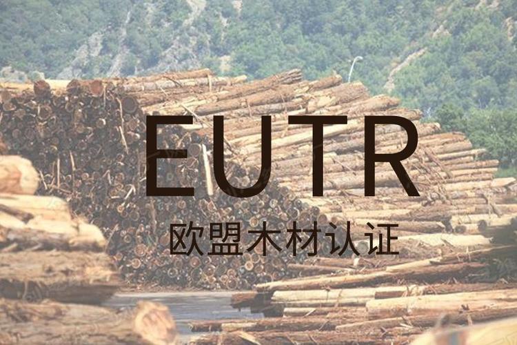 欧盟EUTR法规详解：如何确保木材及木制品合规性并申请认证