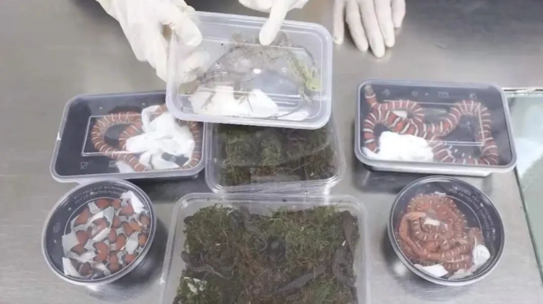 天津网站广告法遵守
